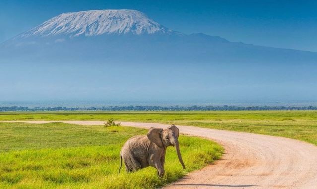 The Home of African Elephants.