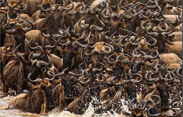 Most breathtaking pilgrimage In Africa.